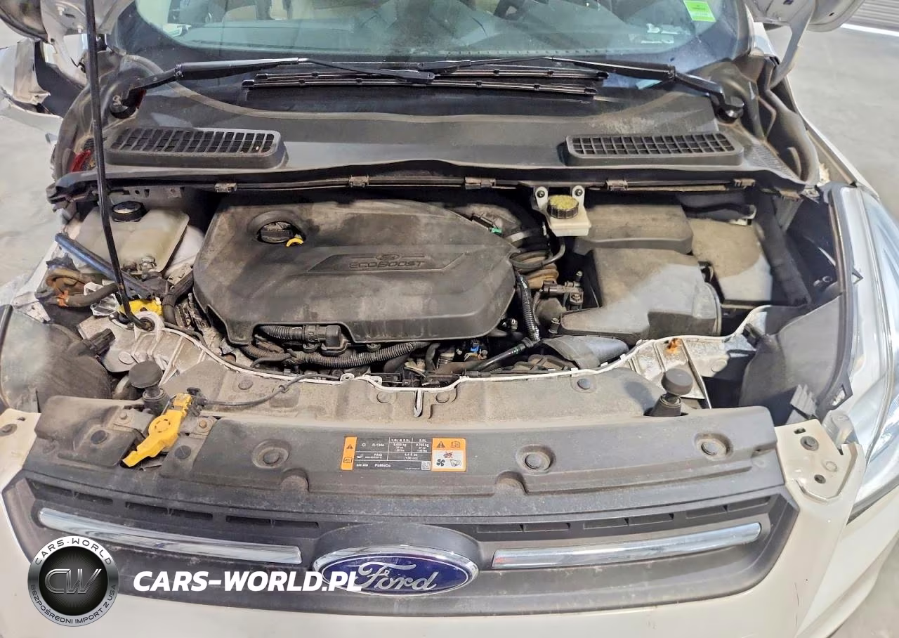 2013 Ford Escape Se VIN:1FMCU0GXXDUC97955 - 12