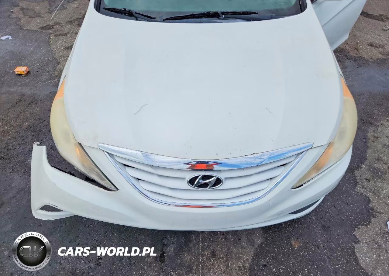 2014 Hyundai Sonata Gls VIN:5NPEB4ACXEH882398 - 11
