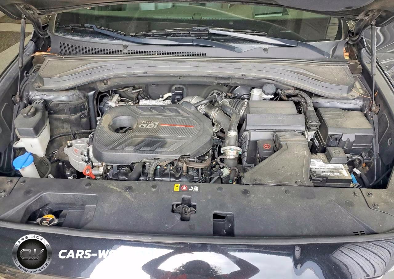 2019 Hyundai Santa Fe Ultimate 2.0T VIN:5NMS53AAXKH051897 - 12