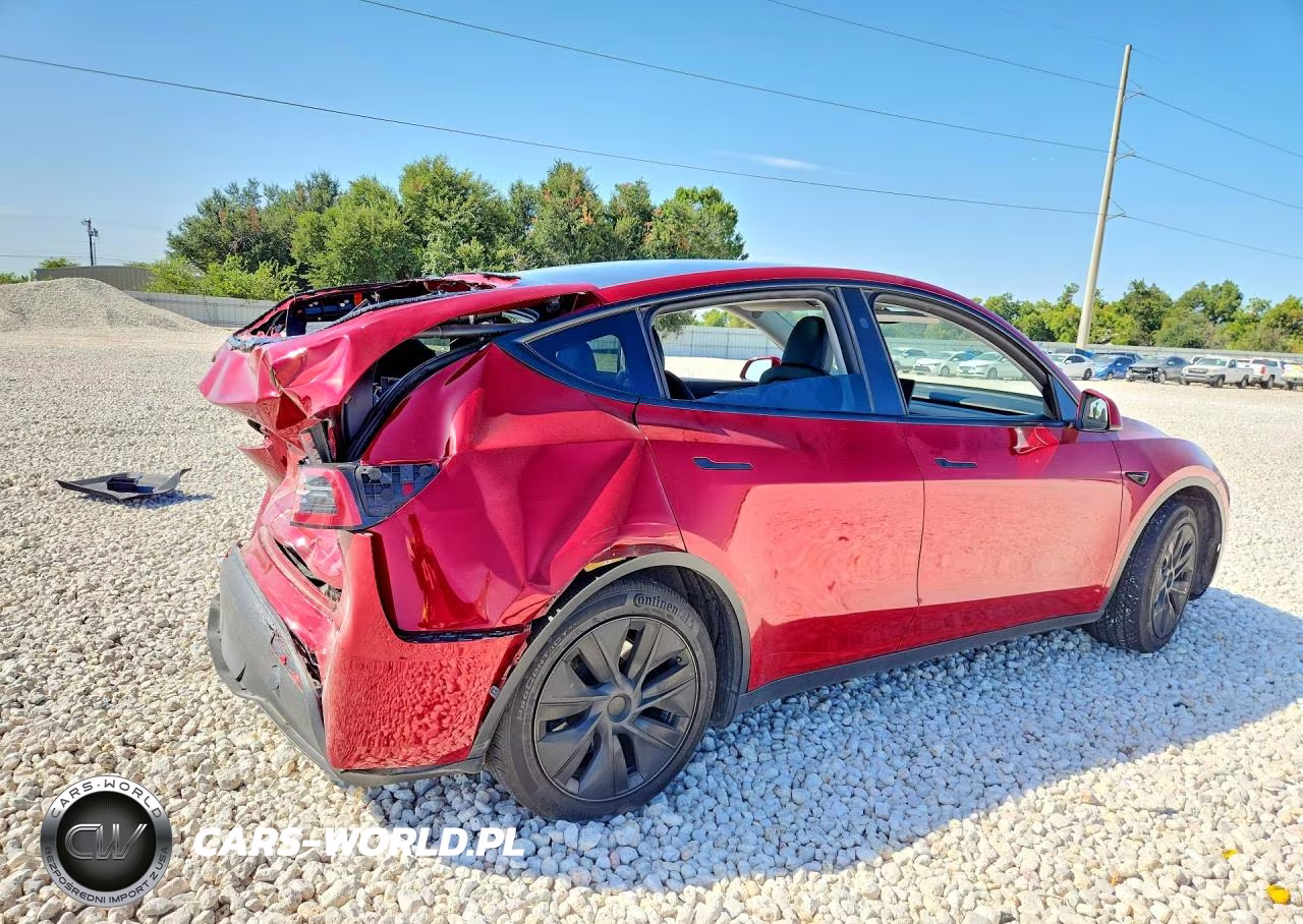 2024 Tesla Model Y VIN:7SAYGDED4RA311379 - 3