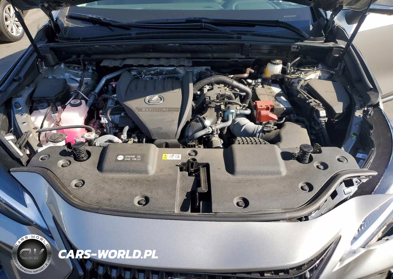 2025 Lexus Nx 350 Premium VIN:2T2GGCEZ2SC075161 - 12