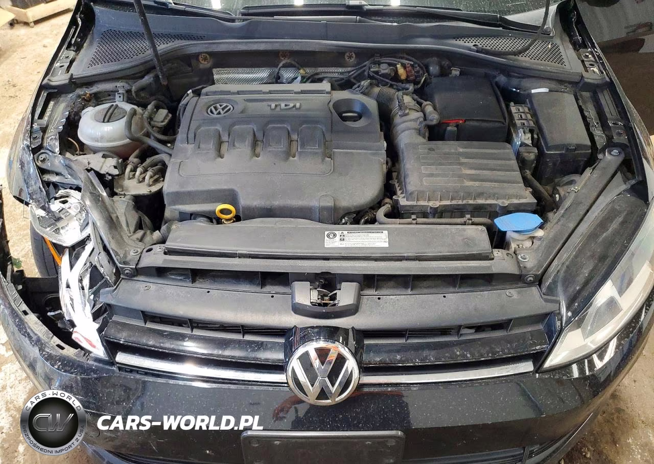 2015 Volkswagen Golf Sportwagen Tdi S VIN:3VWCA7AU1FM516858 - 11