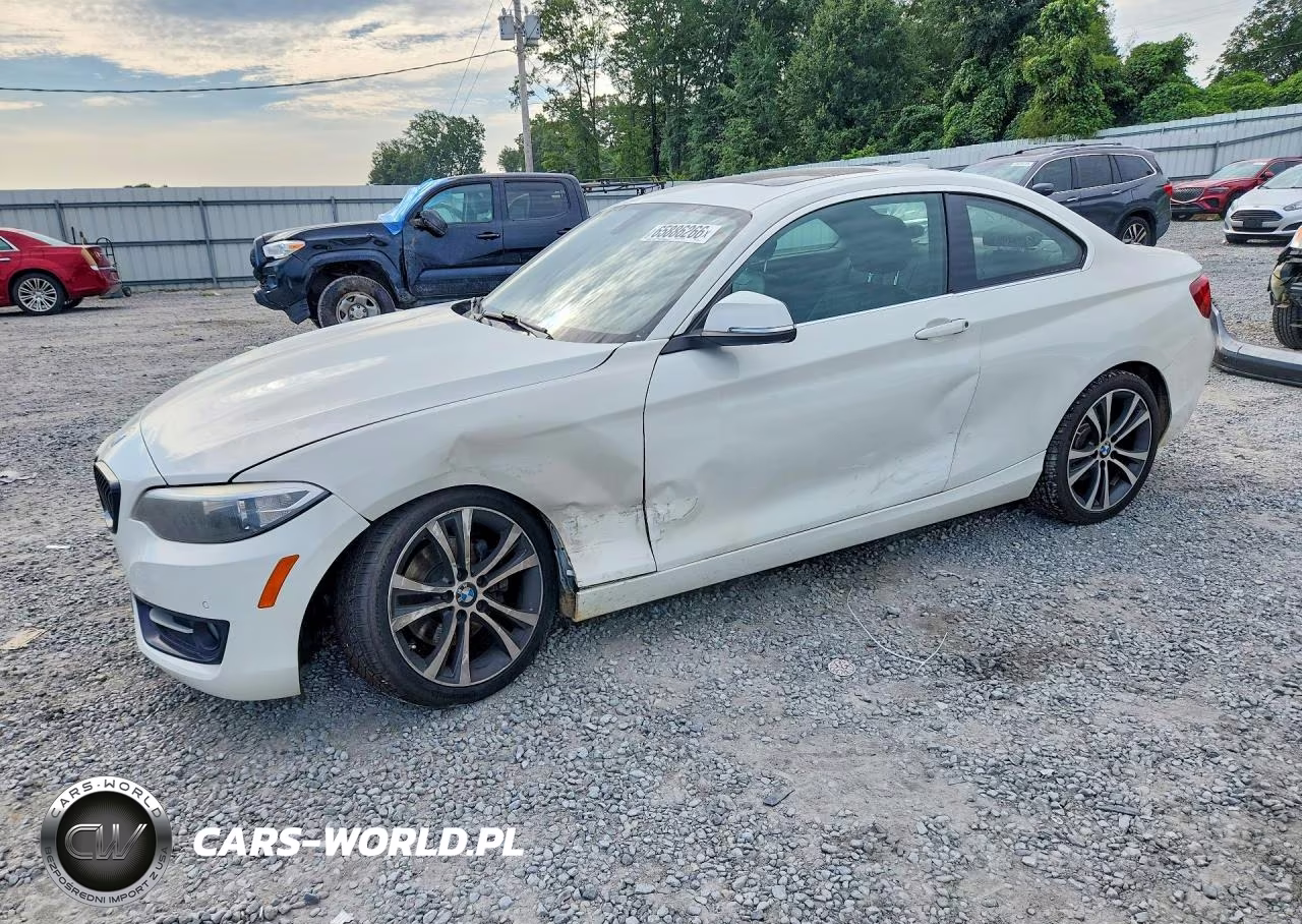 2017 BMW 230I