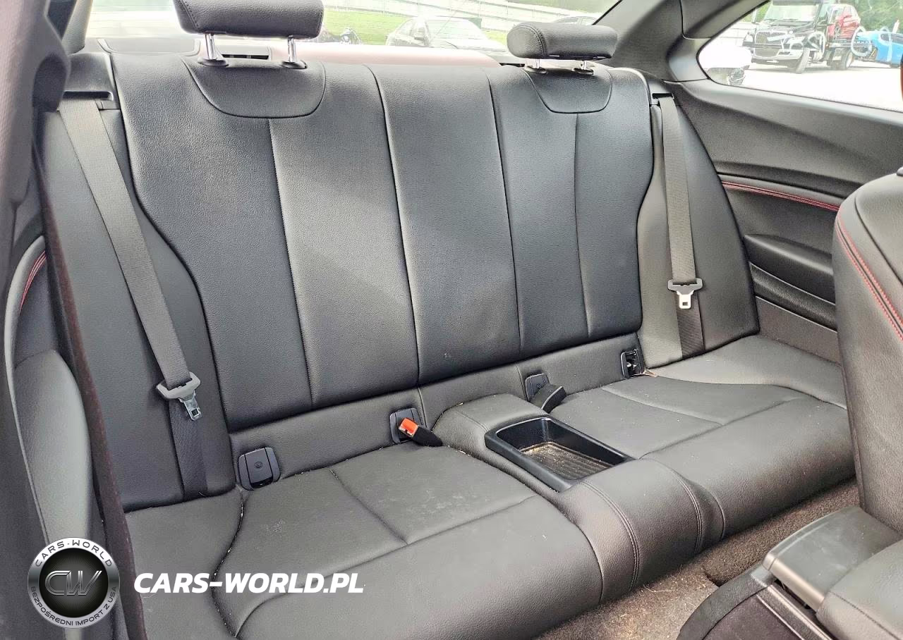 2017 BMW 230I VIN:WBA2F9C53HV664419 - 10