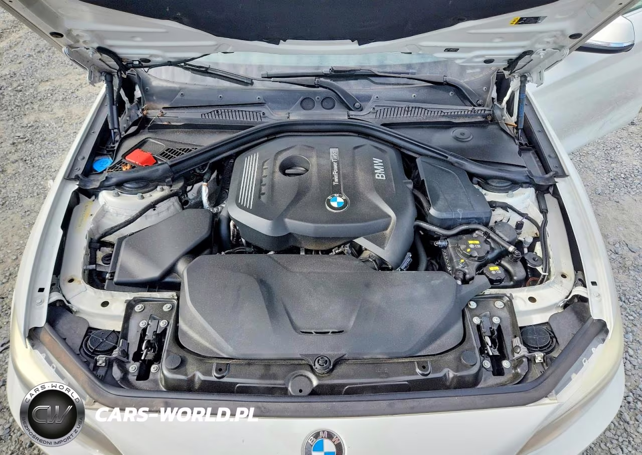 2017 BMW 230I VIN:WBA2F9C53HV664419 - 11