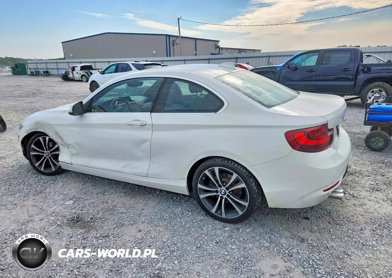 2017 BMW 230I VIN:WBA2F9C53HV664419 - 2