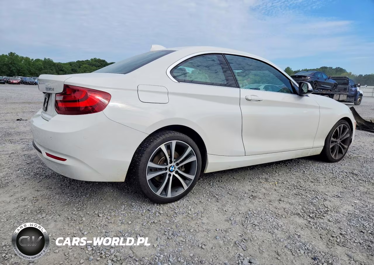 2017 BMW 230I VIN:WBA2F9C53HV664419 - 3