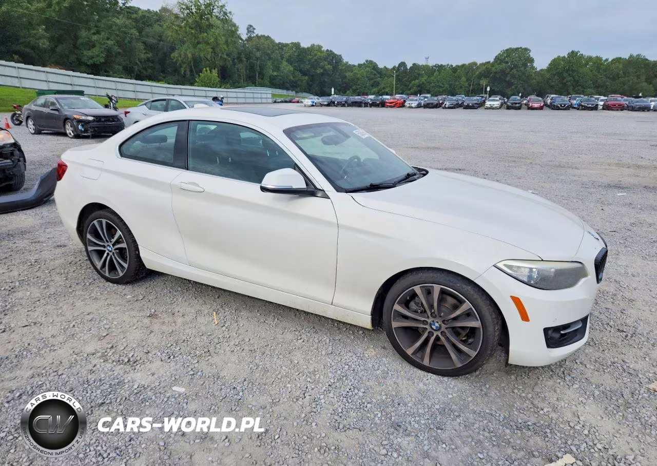 2017 BMW 230I VIN:WBA2F9C53HV664419 - 4