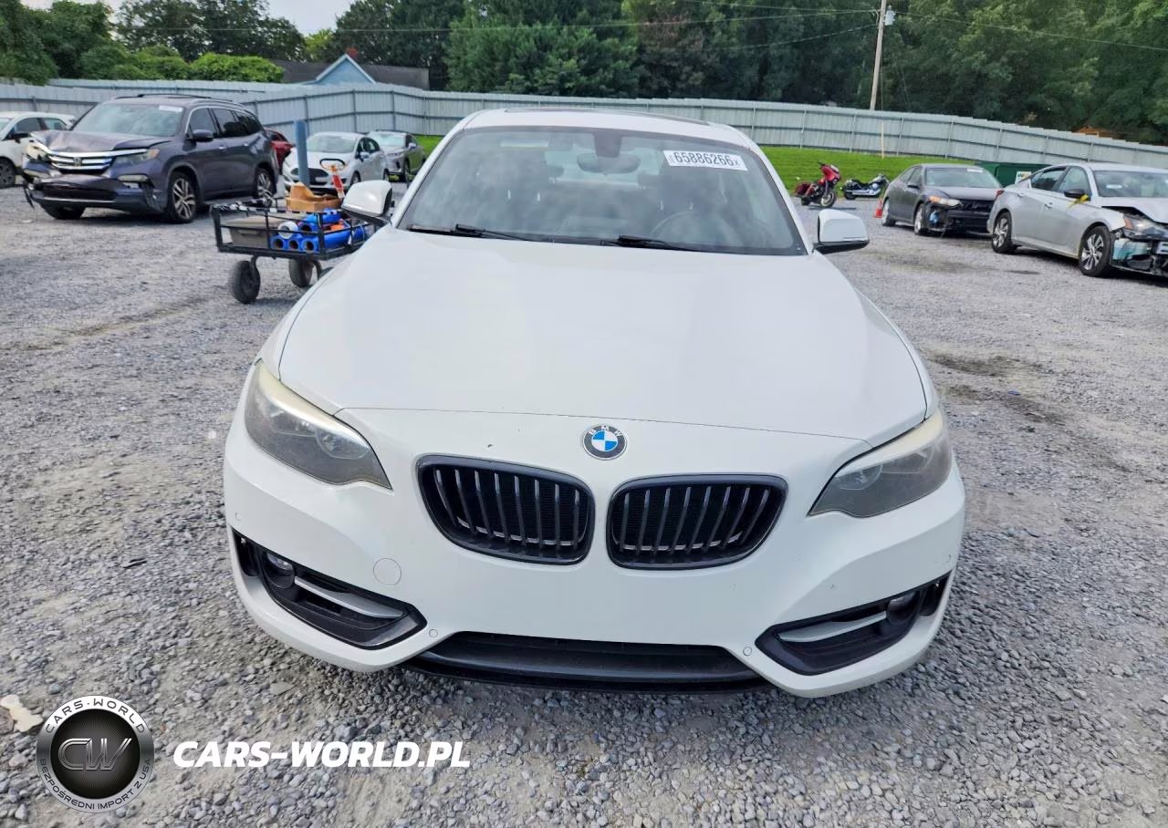 2017 BMW 230I VIN:WBA2F9C53HV664419 - 5