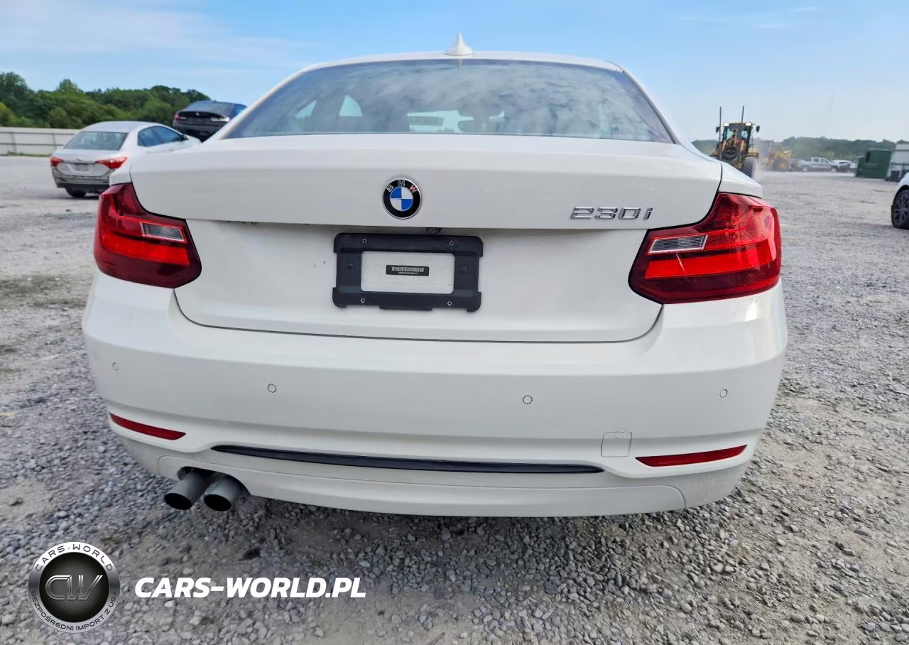 2017 BMW 230I VIN:WBA2F9C53HV664419 - 6