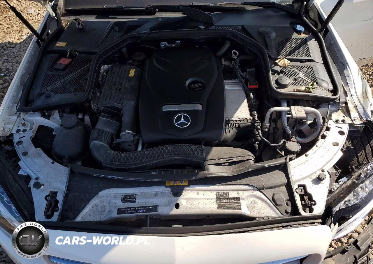 2015 Mercedes-Benz C 300 4Matic VIN:55SWF4KB5FU003029 - 11