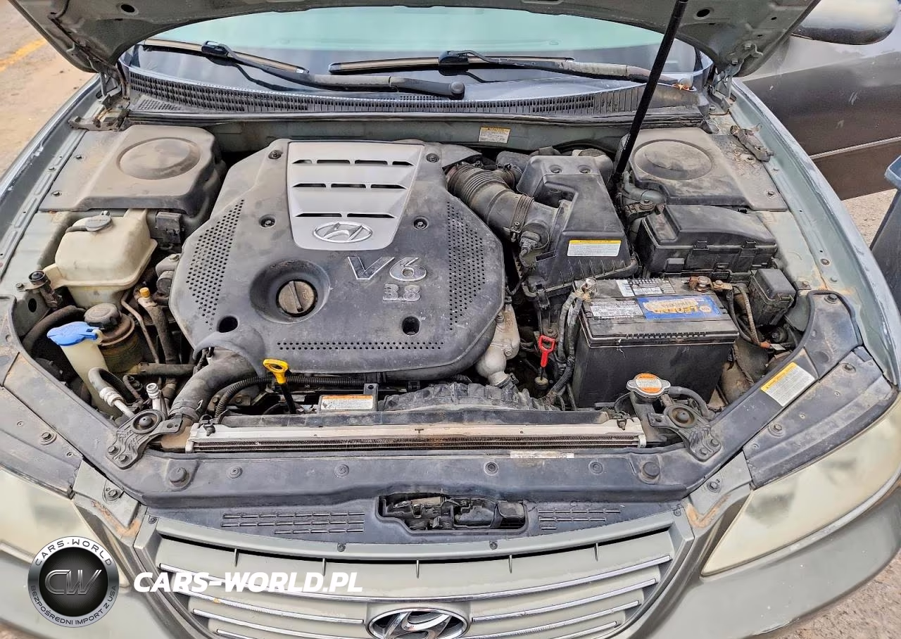 2007 Hyundai Azera Se VIN:KMHFC46F17A187785 - 11