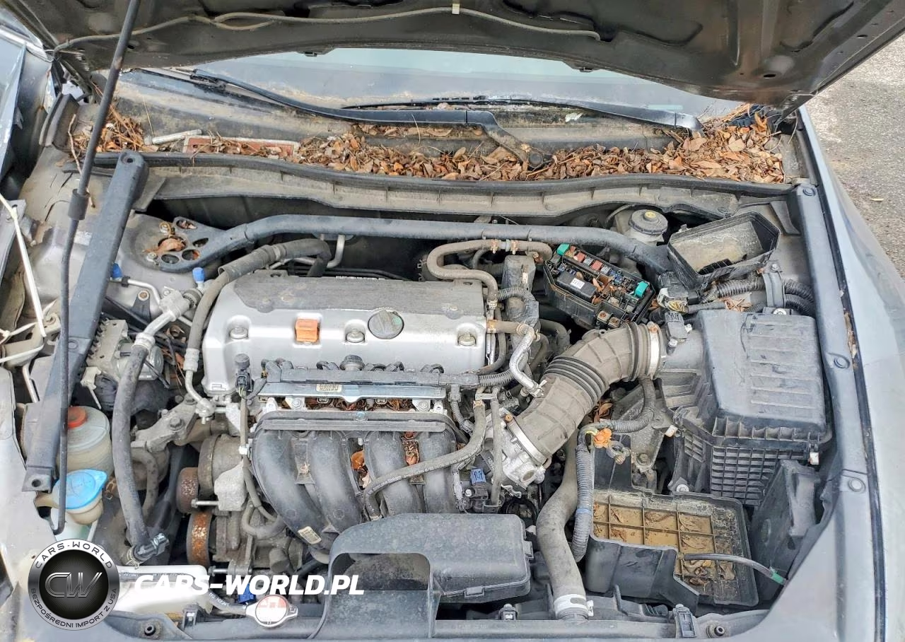 2010 Honda Accord Exl VIN:1HGCS1B82AA012132 - 11