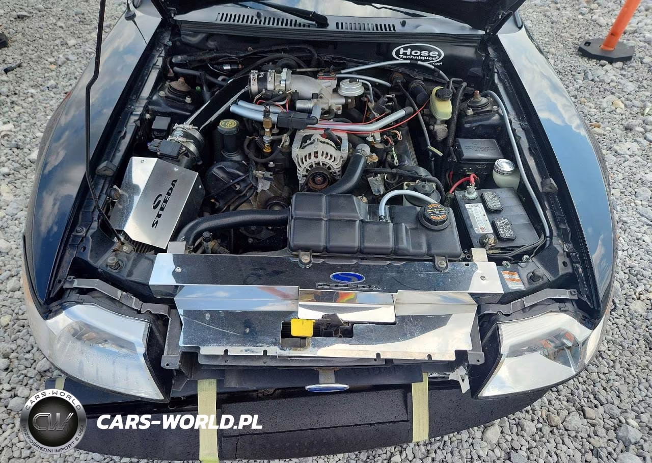 1999 Ford Mustang Gt VIN:1FAFP42X8XF122352 - 11
