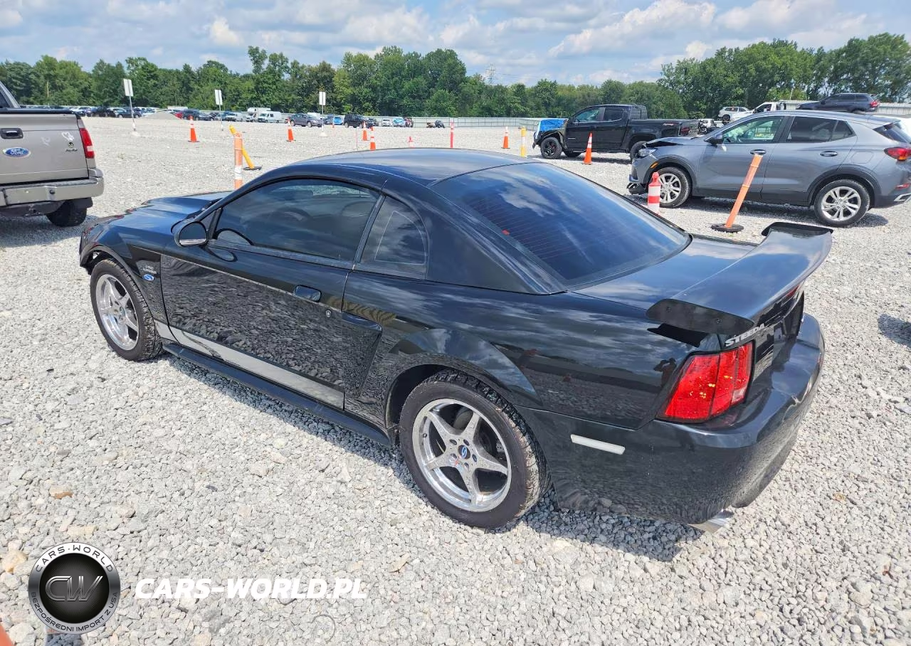 1999 Ford Mustang Gt VIN:1FAFP42X8XF122352 - 2