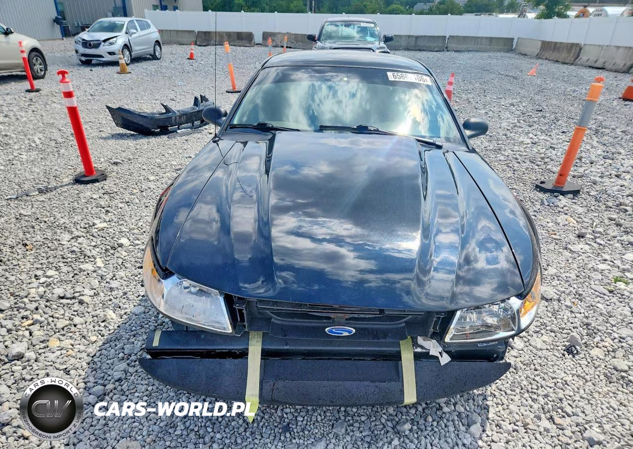 1999 Ford Mustang Gt VIN:1FAFP42X8XF122352 - 5