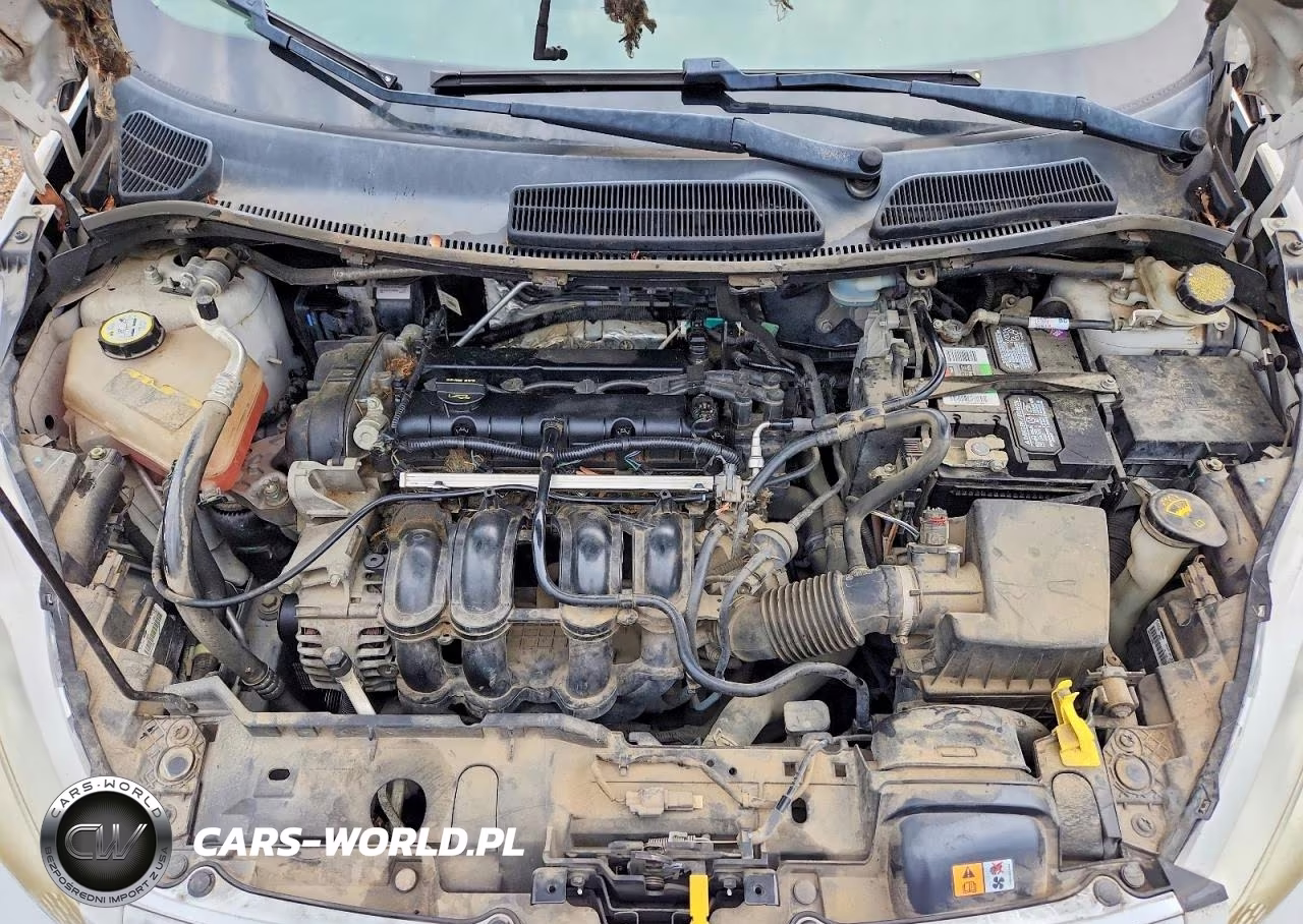 2013 Ford Fiesta Se VIN:3FADP4BJ7DM194142 - 11