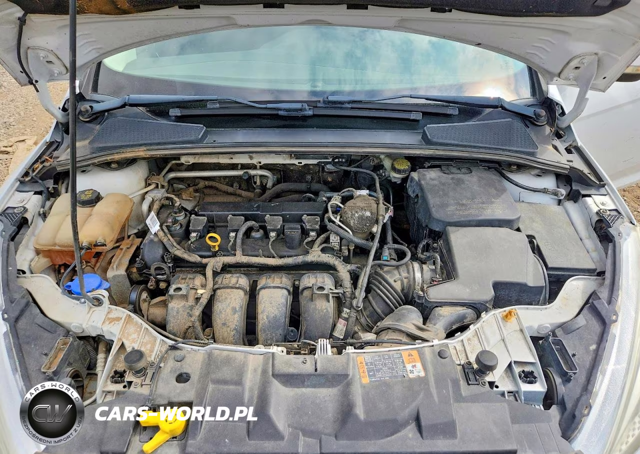 2016 Ford Focus Se VIN:1FADP3K28GL269097 - 11