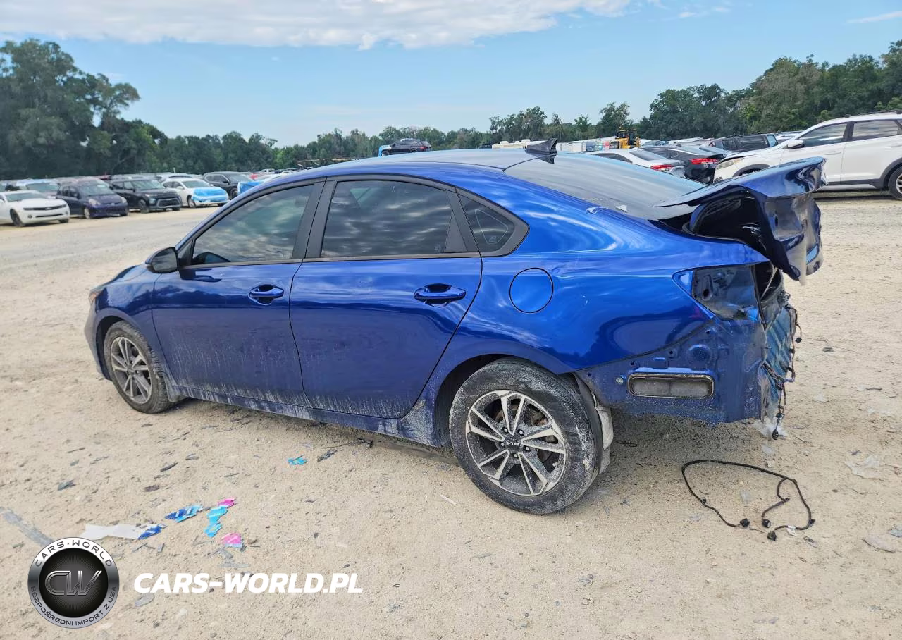 2022 Kia Forte Lxs VIN:3KPF24AD8NE418964 - 2