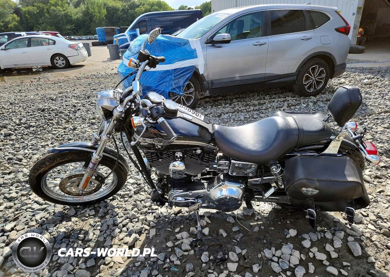 2003 Harley-Davidson Fxdl VIN:1HD1GDV183K324166 - 3