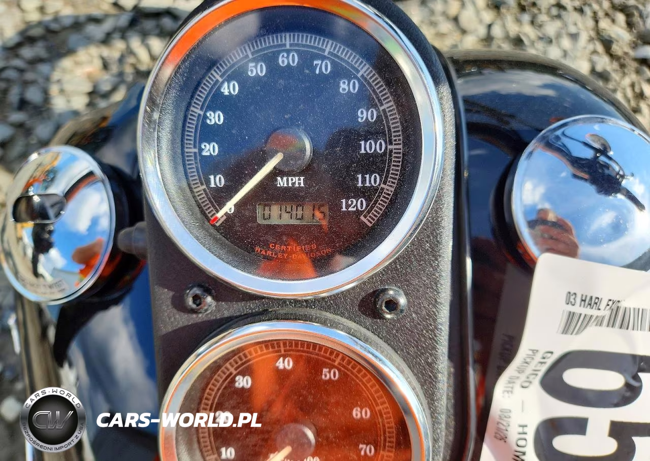 2003 Harley-Davidson Fxdl VIN:1HD1GDV183K324166 - 7