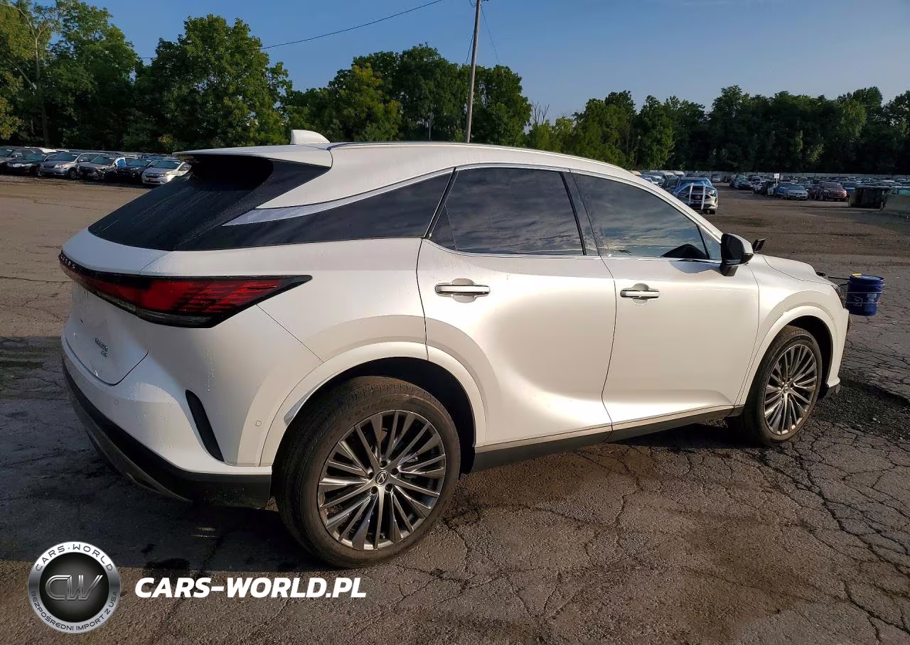 2024 Lexus Rx 350 Luxury VIN:2T2BAMCA2RC054285 - 3
