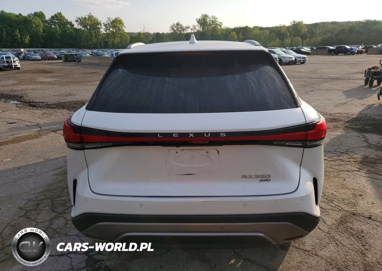 2024 Lexus Rx 350 Luxury VIN:2T2BAMCA2RC054285 - 6