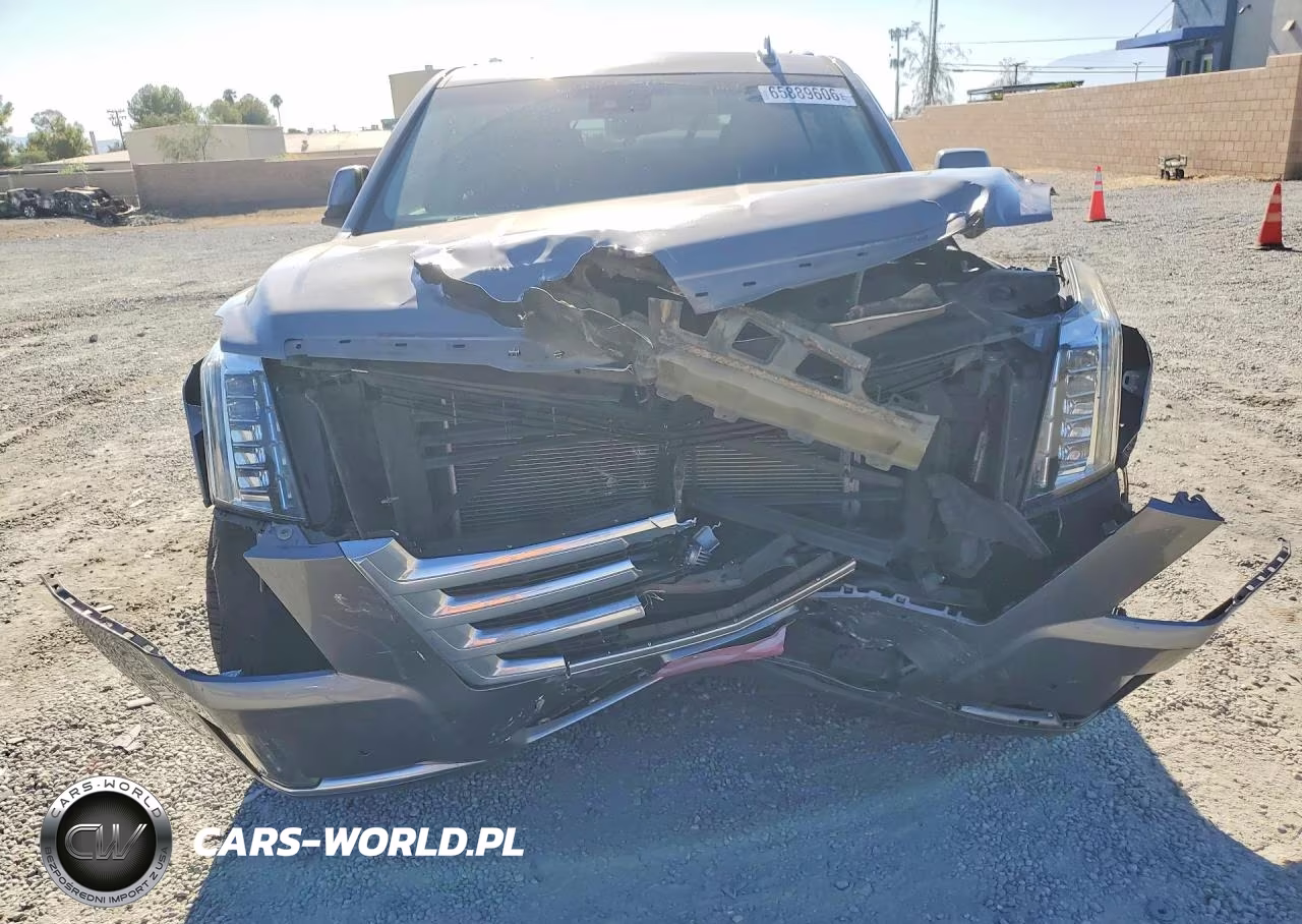 2019 Cadillac Escalade Luxury VIN:1GYS3BKJ7KR311127 - 5