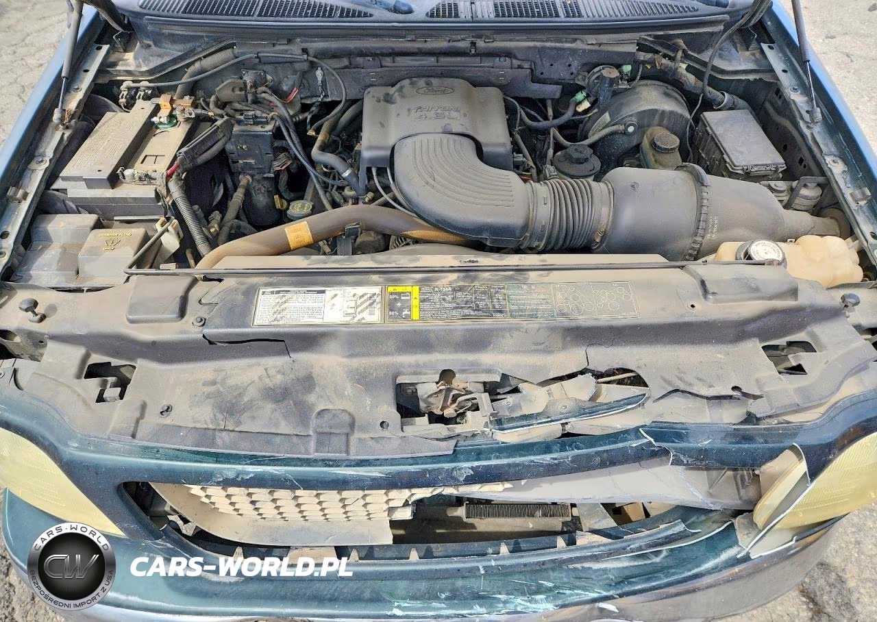 2002 Ford F150 VIN:1FTRX18W52NB54663 - 11