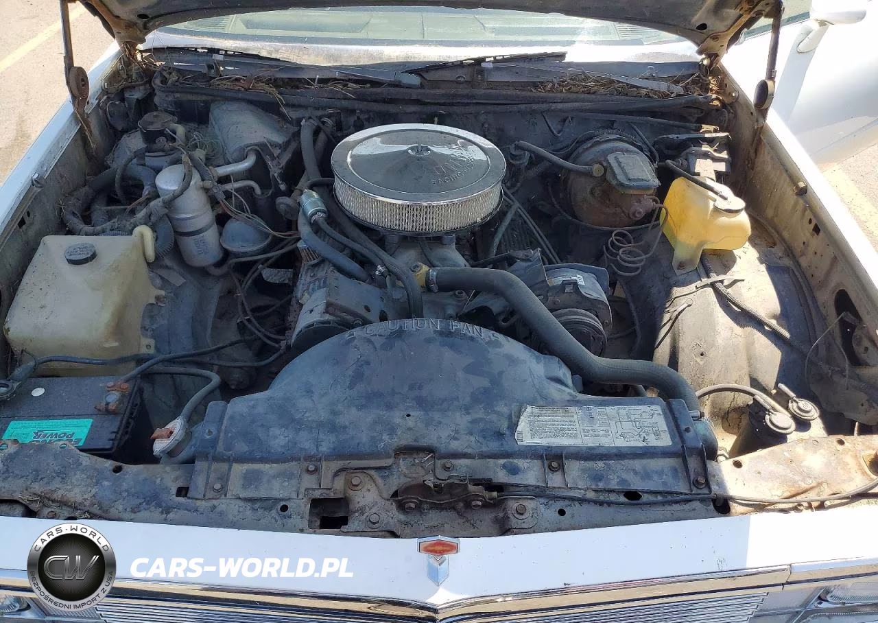 1981 Chevrolet El Camino VIN:1GCCW80J7BR458815 - 11