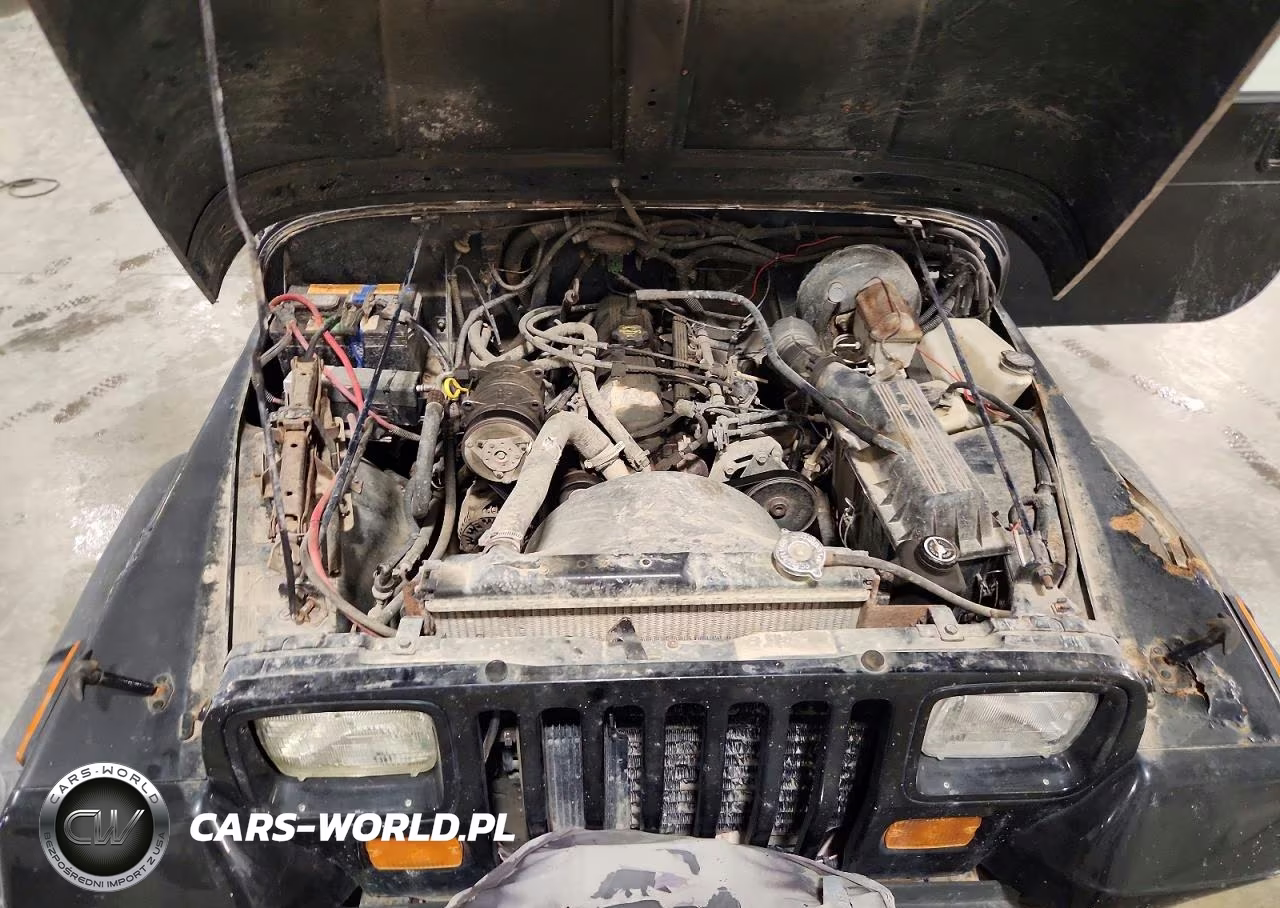 1995 Jep Wrangler VIN:1J4FY19P4SP236891 - 12