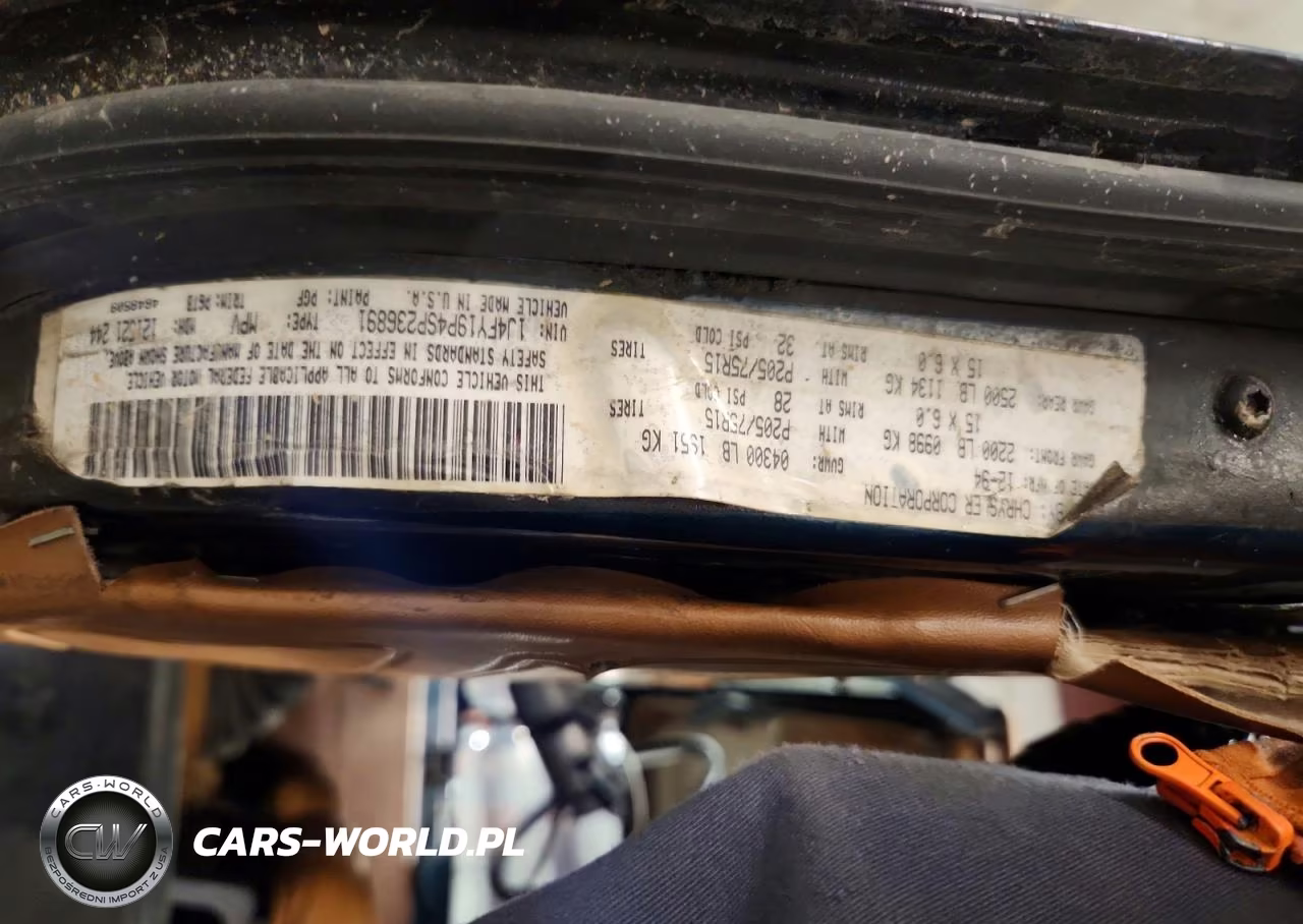 1995 Jep Wrangler VIN:1J4FY19P4SP236891 - 13