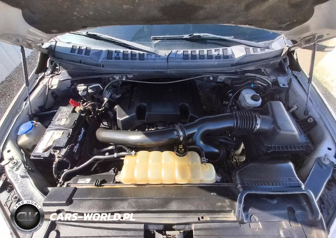 2019 Ford F150 Supercrew VIN:1FTFW1E48KKC07981 - 11