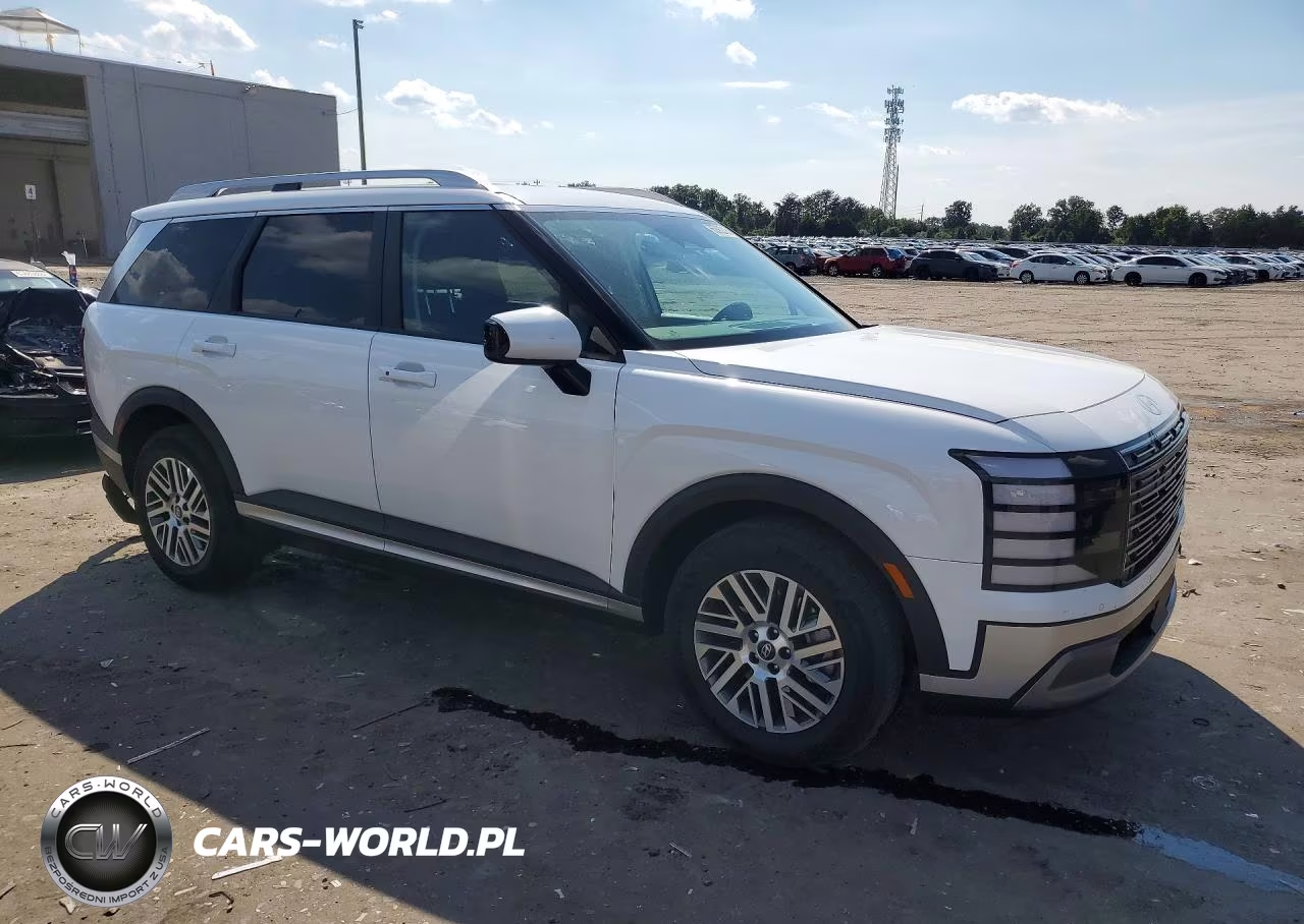 2026 Hyundai Palisade Sel VIN:KM8RL5S2XTU110444 - 4