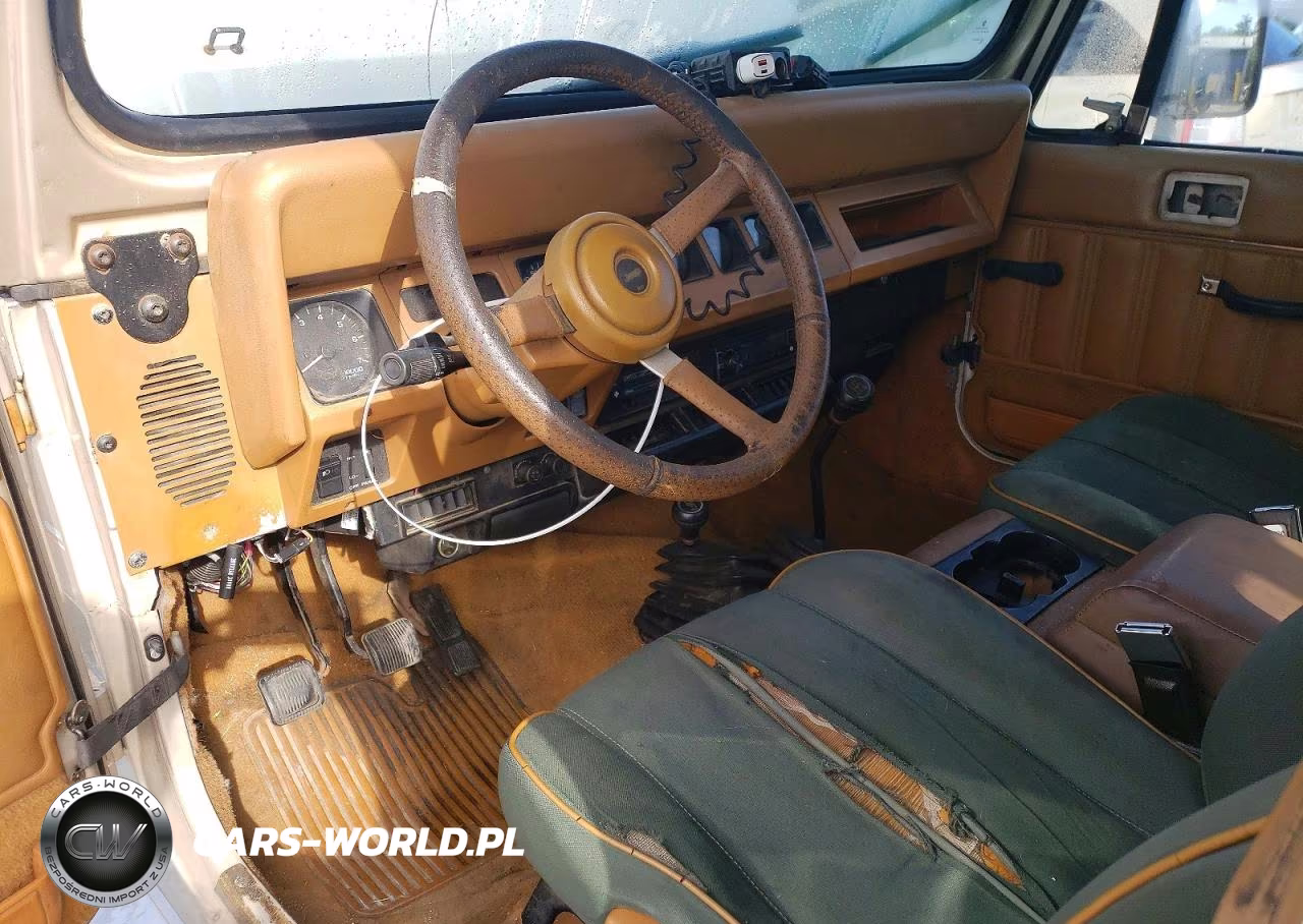 1995 Jeep Wrangler - Yj Sahara VIN:1J4FY49SXSP246962 - 8
