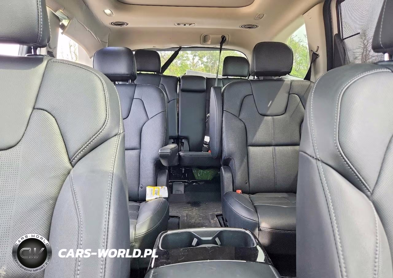 2024 Kia Telluride Sx VIN:5XYP5DGC7RG513342 - 10