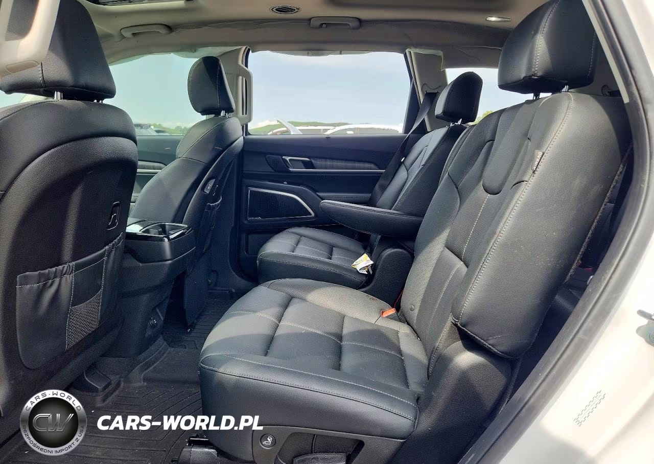 2024 Kia Telluride Sx VIN:5XYP5DGC7RG513342 - 11