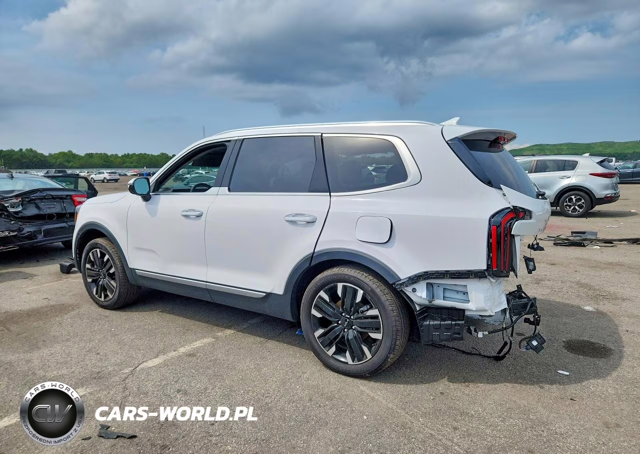2024 Kia Telluride Sx VIN:5XYP5DGC7RG513342 - 2