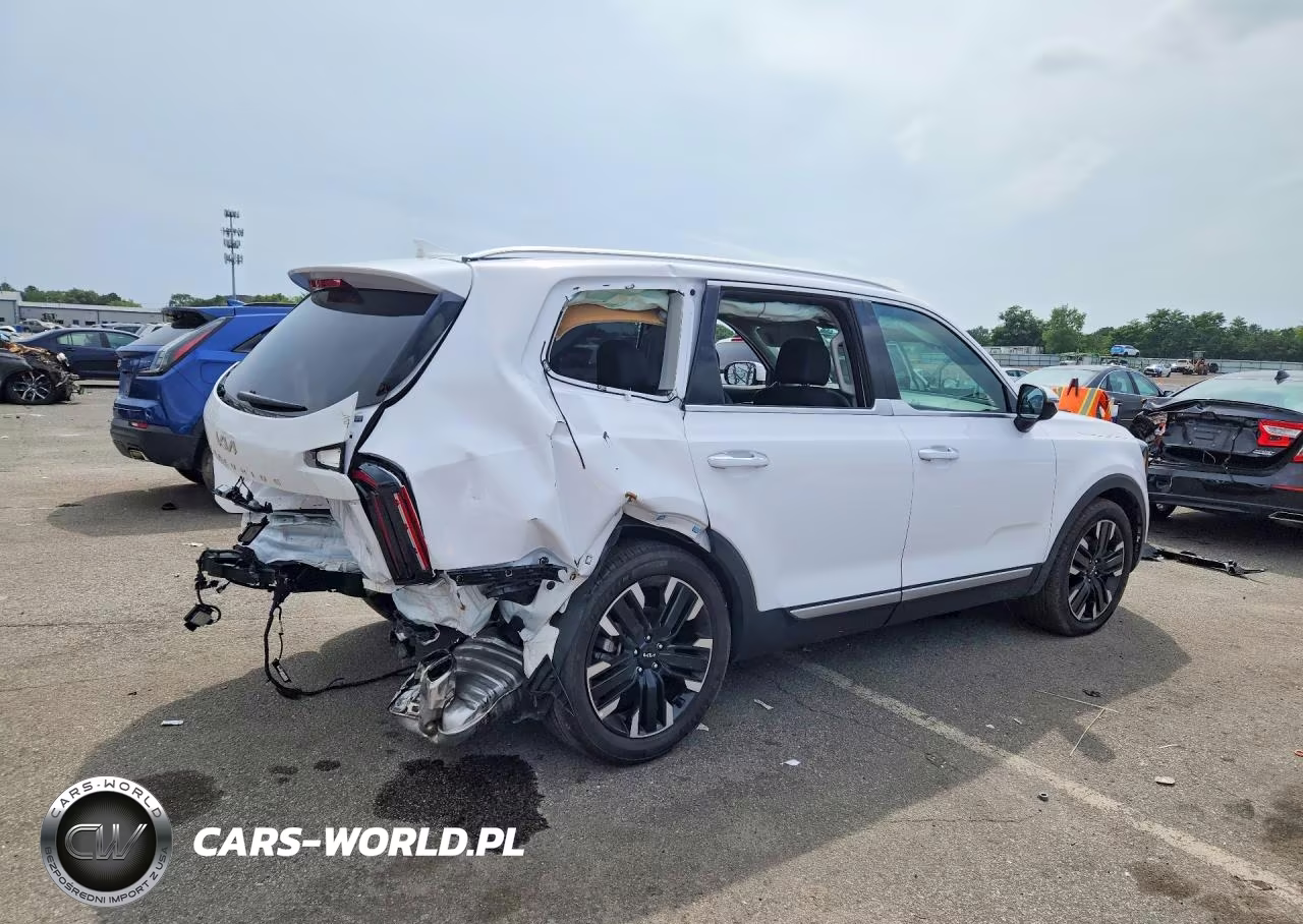 2024 Kia Telluride Sx VIN:5XYP5DGC7RG513342 - 3