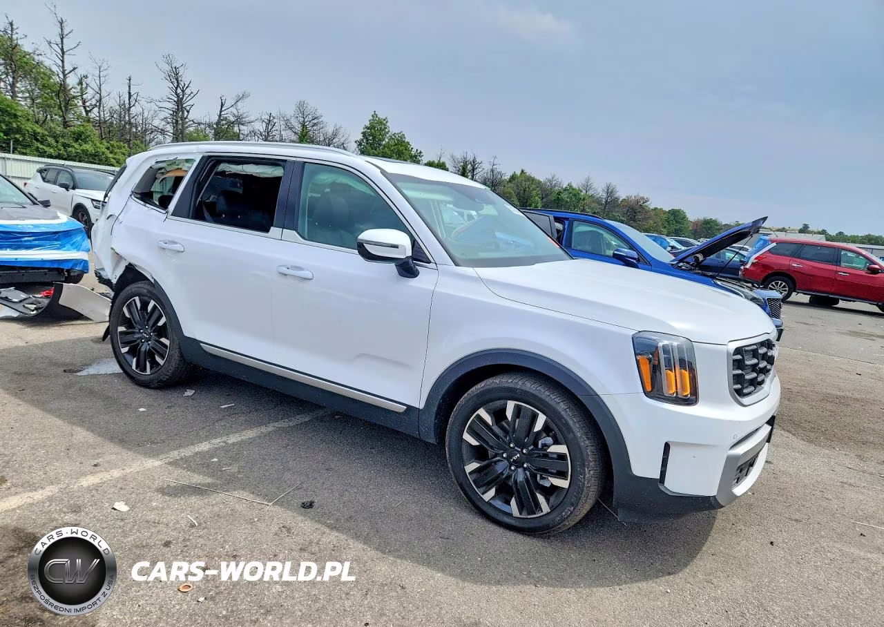 2024 Kia Telluride Sx VIN:5XYP5DGC7RG513342 - 4