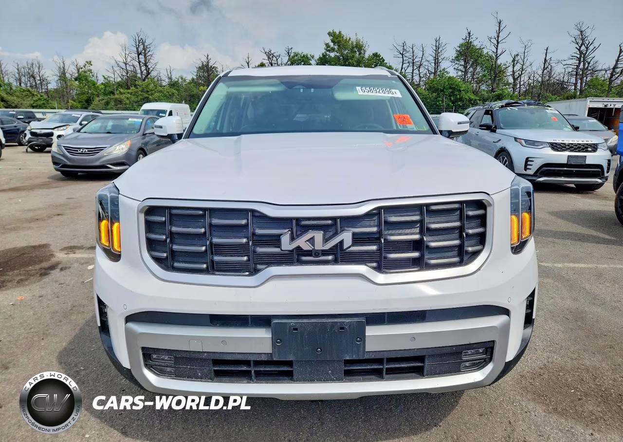 2024 Kia Telluride Sx VIN:5XYP5DGC7RG513342 - 5