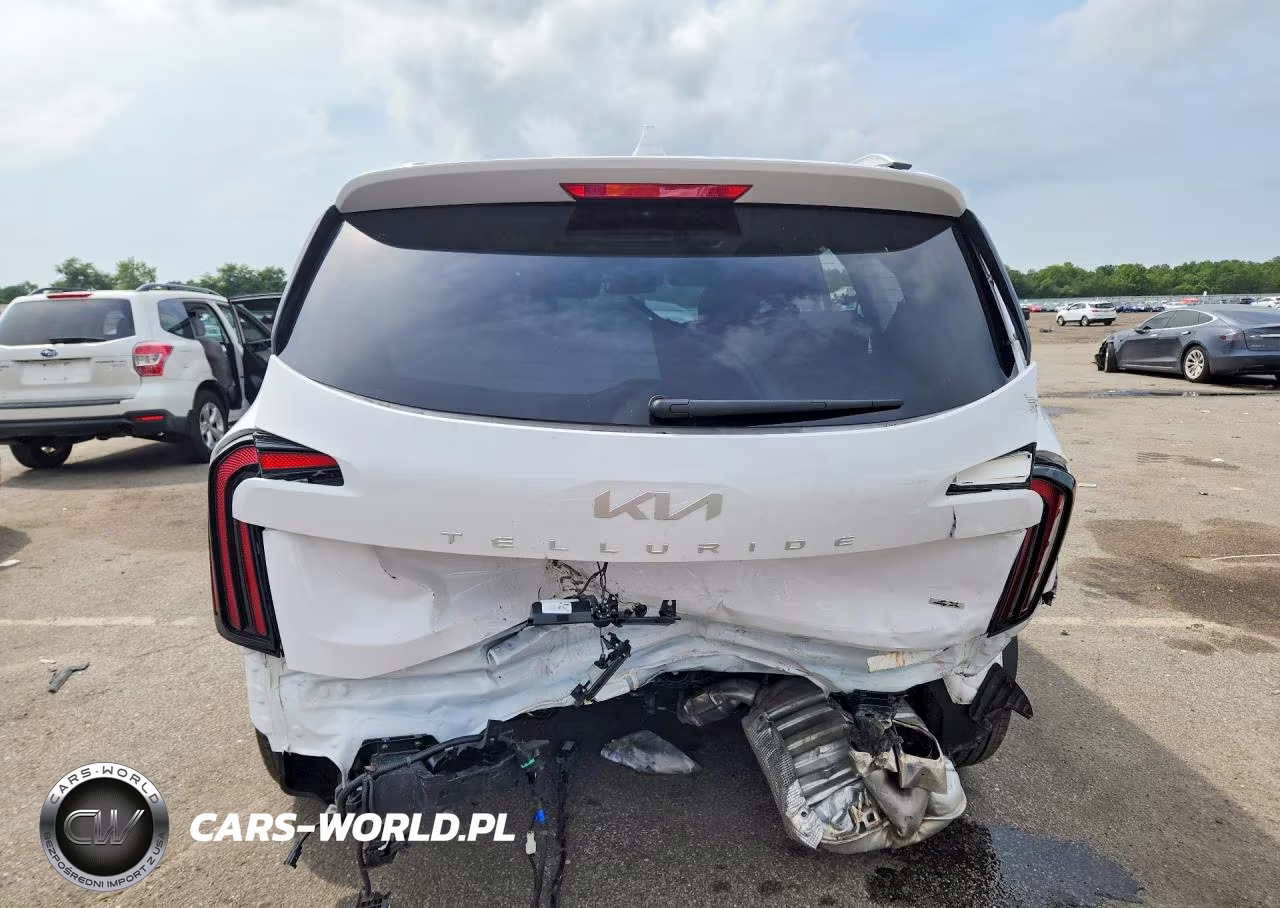 2024 Kia Telluride Sx VIN:5XYP5DGC7RG513342 - 6