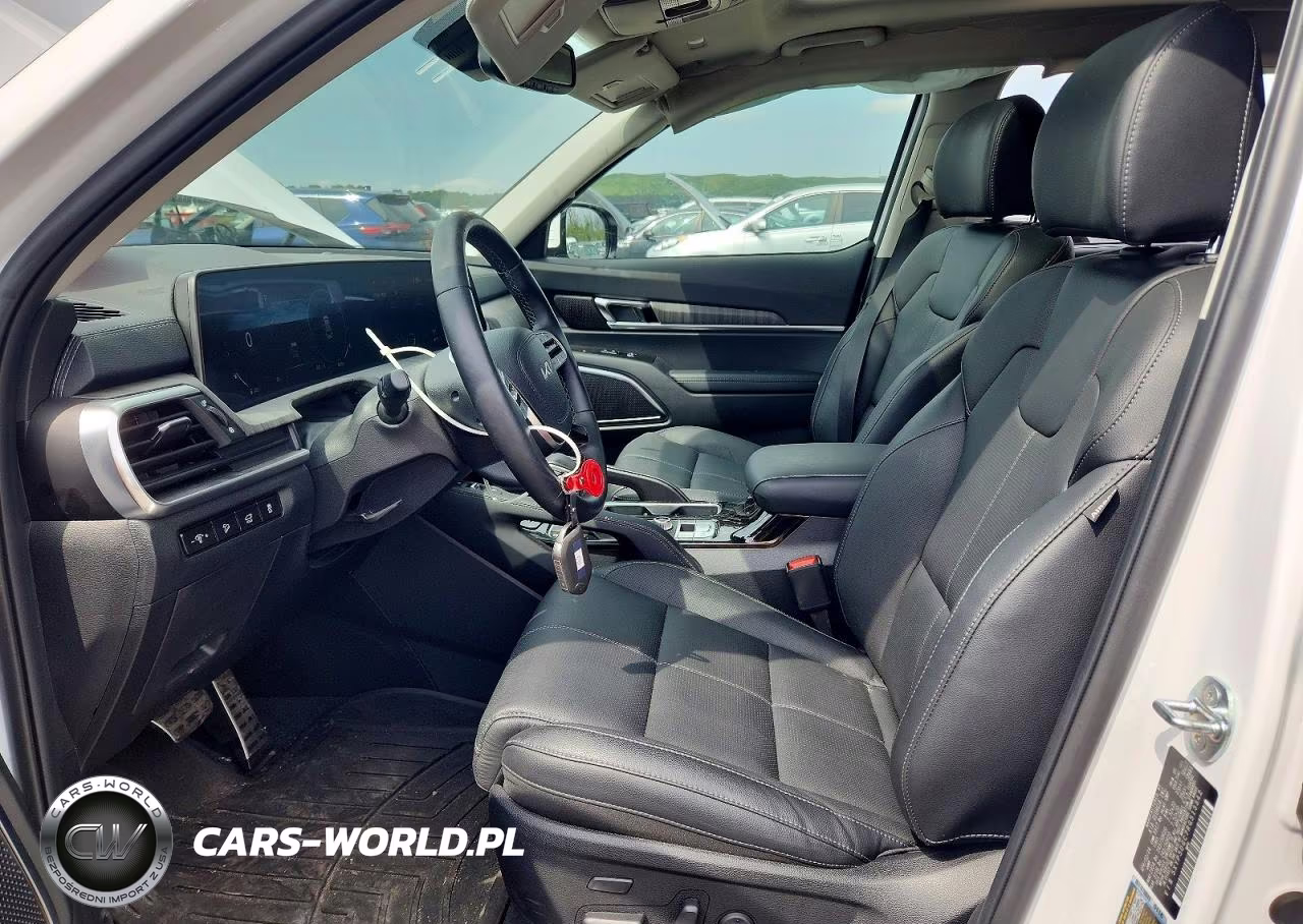 2024 Kia Telluride Sx VIN:5XYP5DGC7RG513342 - 7