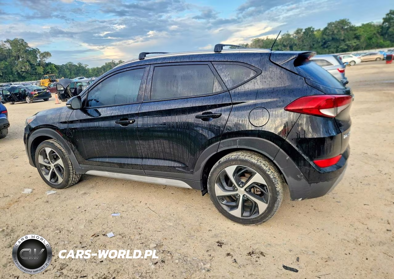 2017 Hyundai Tucson Sport VIN:KM8J33A23HU508041 - 2