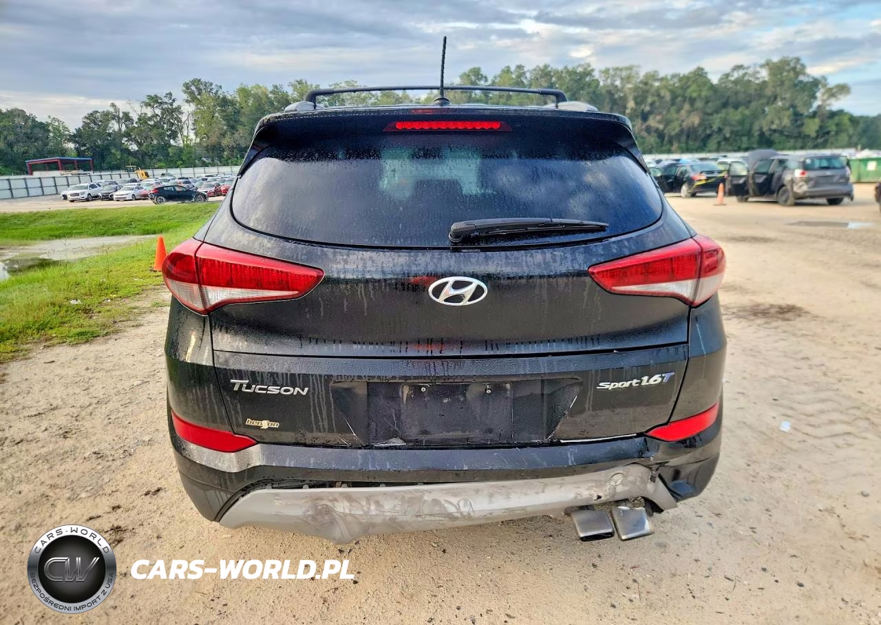 2017 Hyundai Tucson Sport VIN:KM8J33A23HU508041 - 6