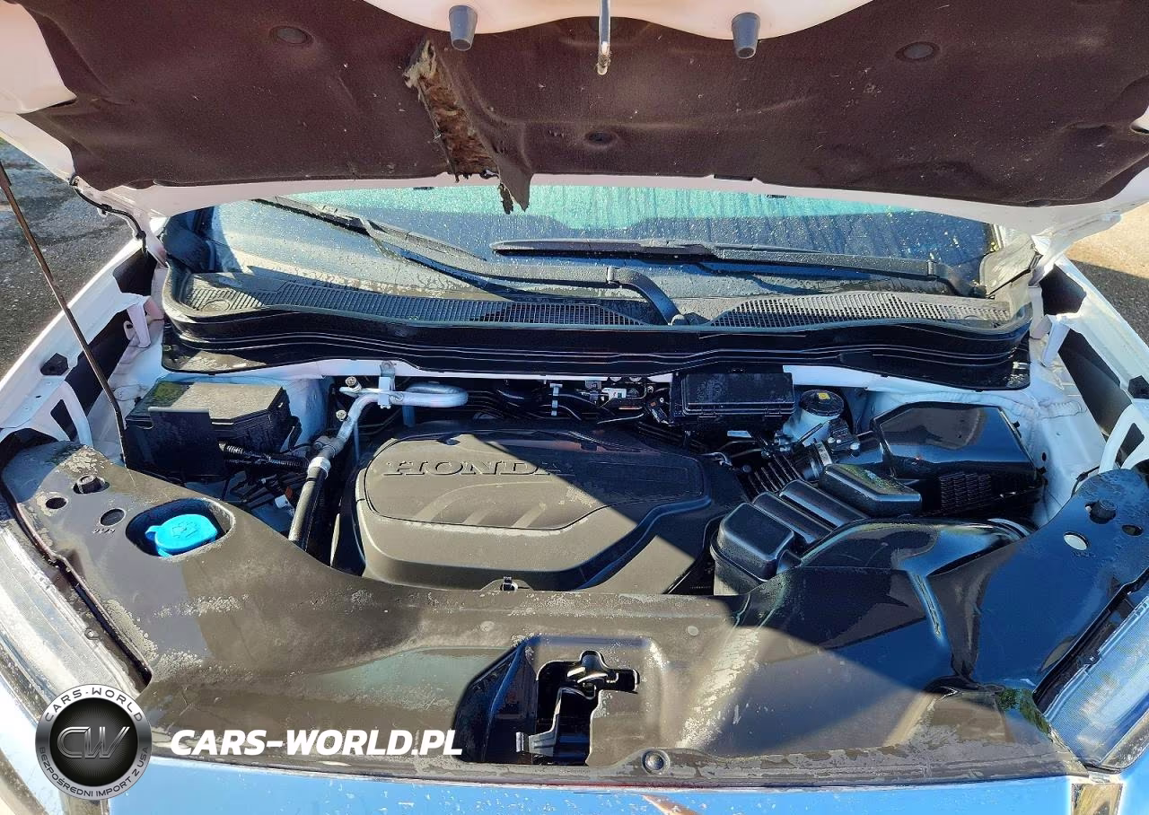 2024 Honda Passport Exl VIN:5FNYF8H58RB010080 - 12