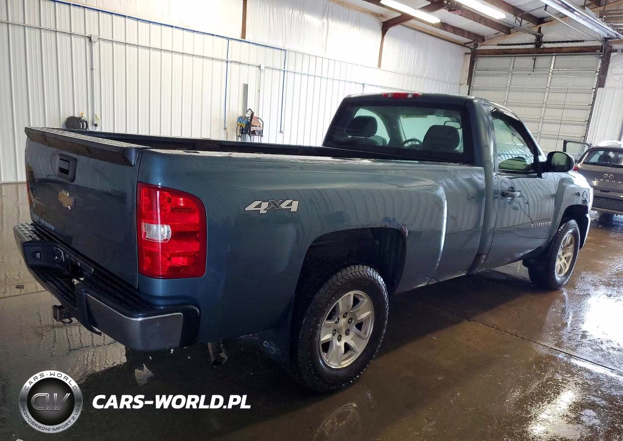 2009 Chevrolet Silverado K1500 VIN:1GCEK14X39Z155003 - 3
