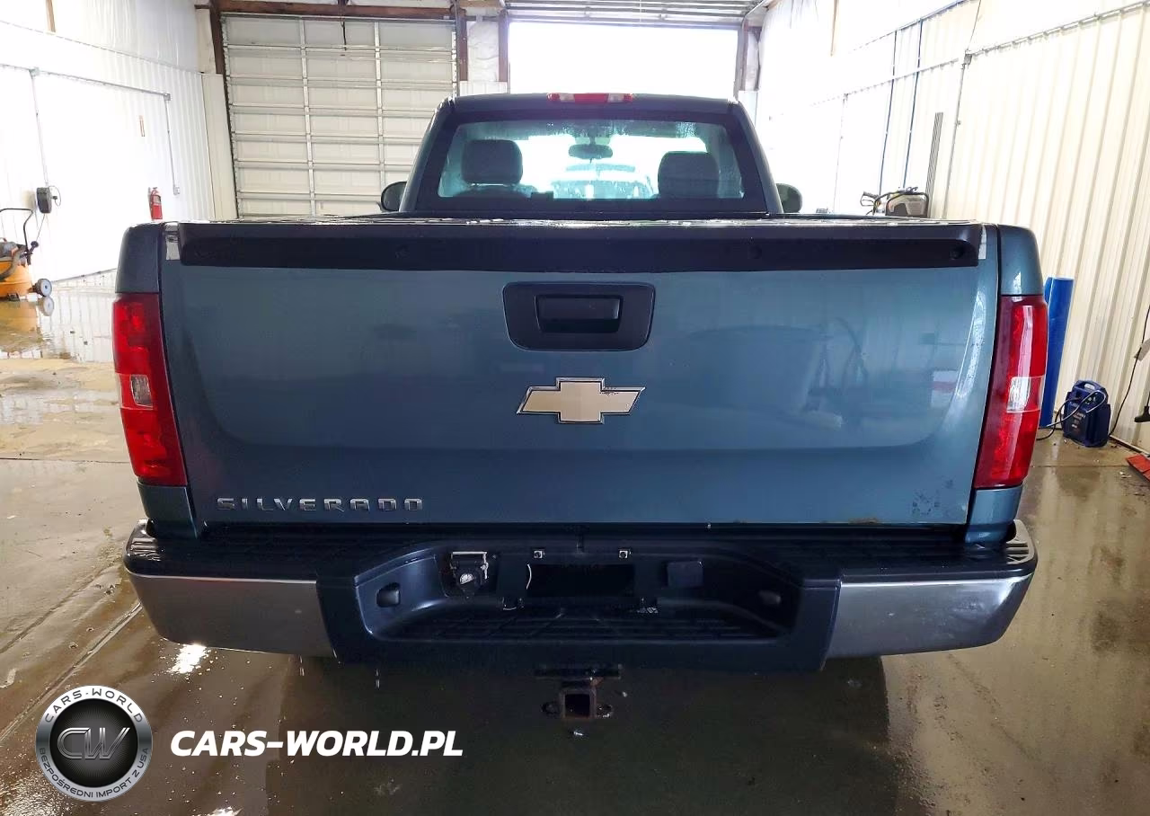 2009 Chevrolet Silverado K1500 VIN:1GCEK14X39Z155003 - 6
