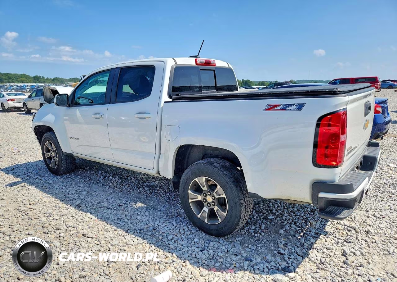 2020 Chevrolet Colorado Z71 VIN:1GCGTDEN2L1100844 - 2