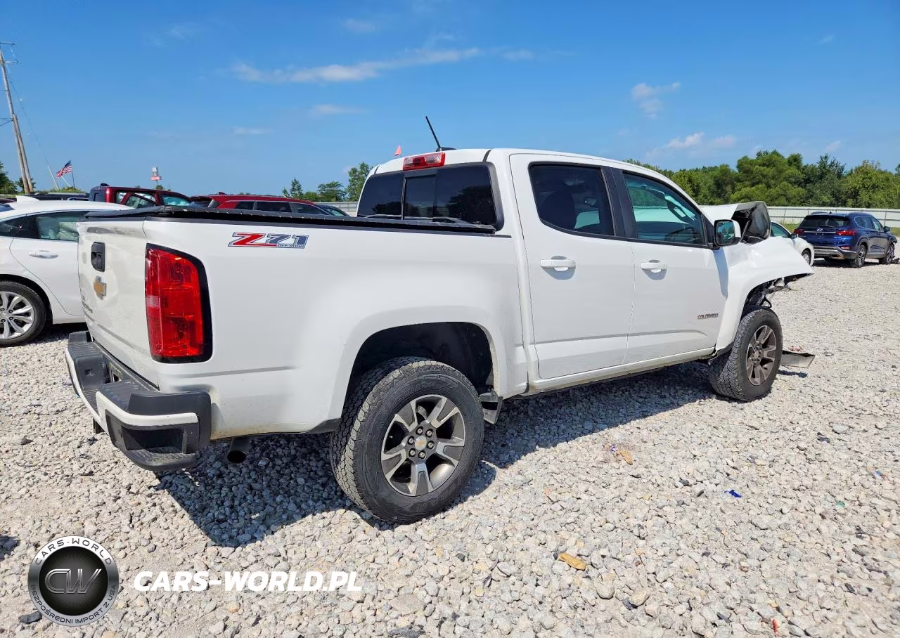 2020 Chevrolet Colorado Z71 VIN:1GCGTDEN2L1100844 - 3